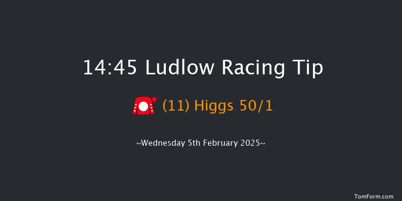 Ludlow  14:45 Handicap Chase (Class 5) 24f Thu 16th Jan 2025