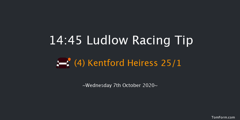 Free Weekend Tips At jpwracingtipster.com Mares' Handicap Hurdle Ludlow 14:45 Handicap Hurdle (Class 3) 21f Thu 27th Feb 2020
