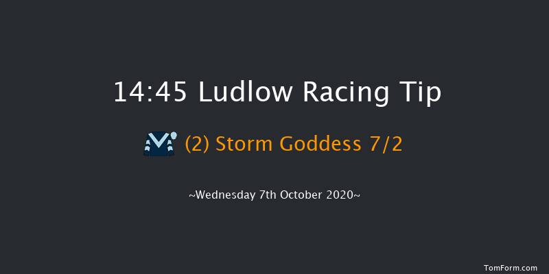 Free Weekend Tips At jpwracingtipster.com Mares' Handicap Hurdle Ludlow 14:45 Handicap Hurdle (Class 3) 21f Thu 27th Feb 2020