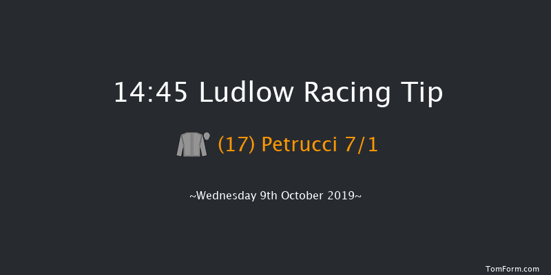 Ludlow 14:45 Handicap Hurdle (Class 4) 16f Thu 1st Jan 1970