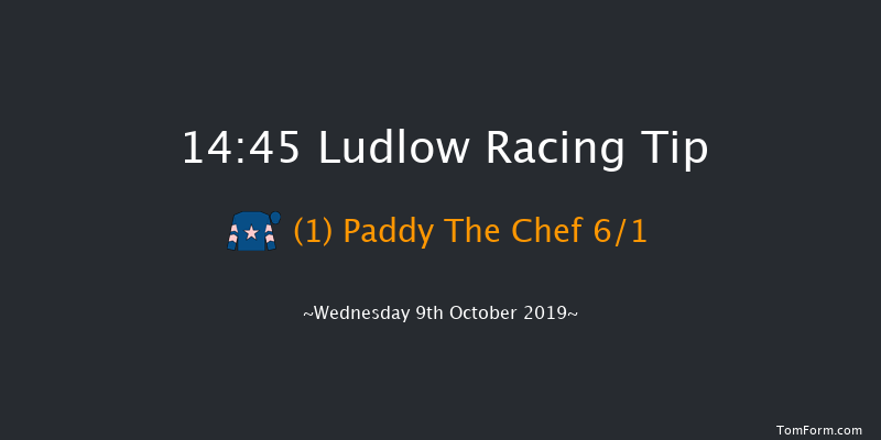 Ludlow 14:45 Handicap Hurdle (Class 4) 16f Thu 1st Jan 1970