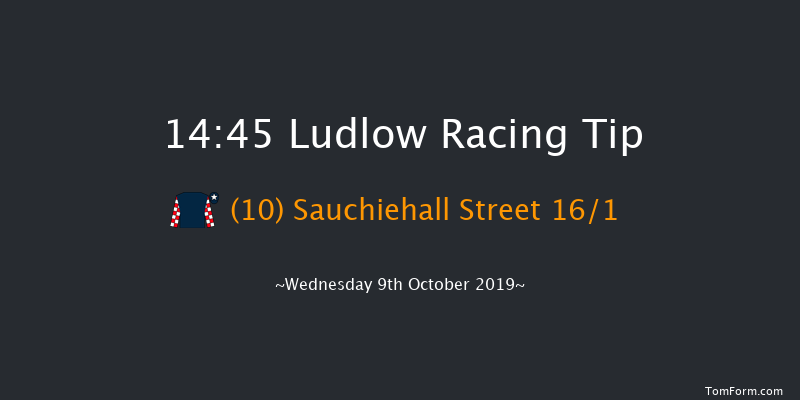 Ludlow 14:45 Handicap Hurdle (Class 4) 16f Thu 1st Jan 1970