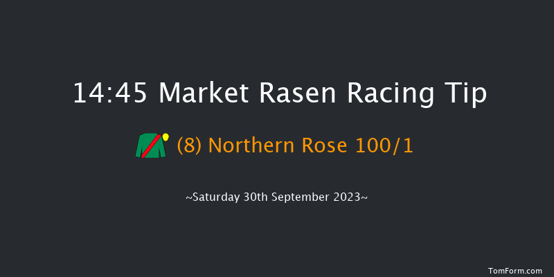 Market Rasen 14:45 Conditions Hurdle (Class 2) 17f Sat 19th Aug 2023