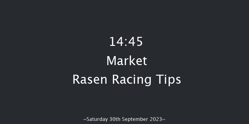 Market Rasen 14:45 Conditions Hurdle (Class 2) 17f Sat 19th Aug 2023