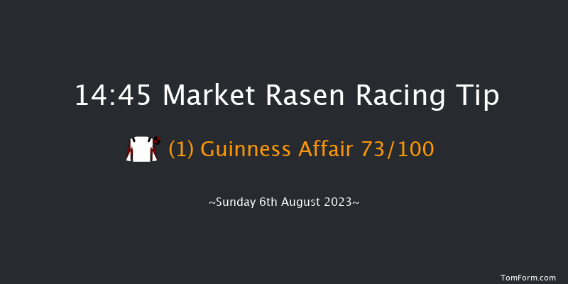 Market Rasen 14:45 Handicap Chase (Class 4) 17f Sat 22nd Jul 2023