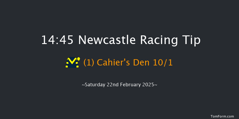Newcastle  14:45 Maiden Hurdle (Class 4) 17f Thu 20th Feb 2025