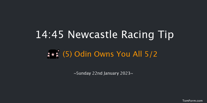 Newcastle 14:45 Maiden (Class 5) 8f Fri 20th Jan 2023