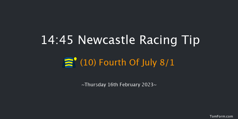 Newcastle 14:45 Handicap Chase (Class 4) 16f Tue 14th Feb 2023