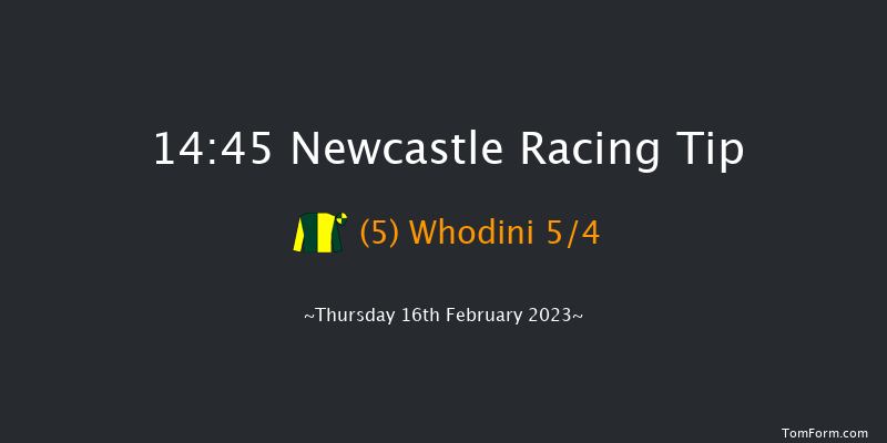 Newcastle 14:45 Handicap Chase (Class 4) 16f Tue 14th Feb 2023
