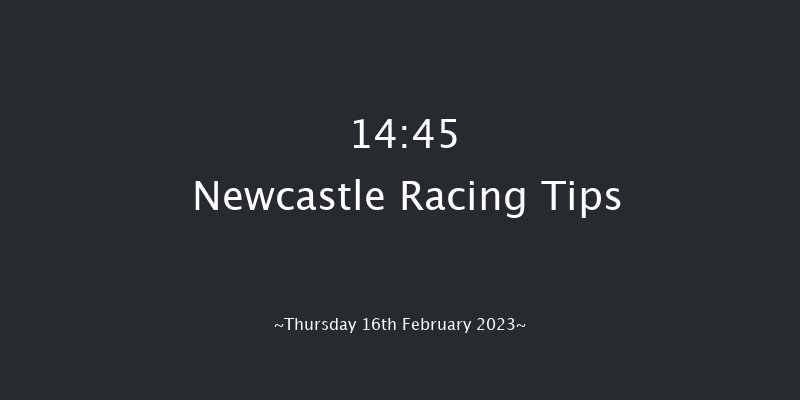 Newcastle 14:45 Handicap Chase (Class 4) 16f Tue 14th Feb 2023