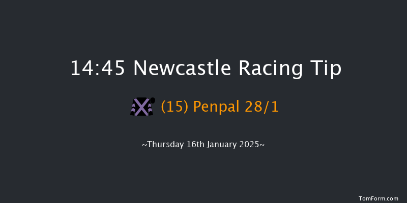 Newcastle  14:45 Handicap Hurdle (Class 5) 20f Tue 14th Jan 2025
