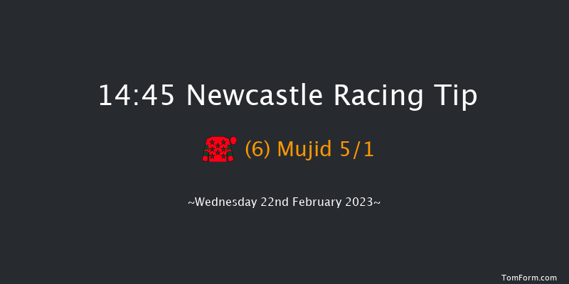 Newcastle 14:45 Handicap (Class 6) 10f Mon 20th Feb 2023