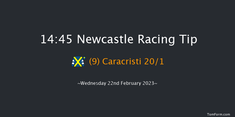 Newcastle 14:45 Handicap (Class 6) 10f Mon 20th Feb 2023
