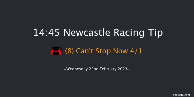 Newcastle 14:45 Handicap (Class 6) 10f Mon 20th Feb 2023