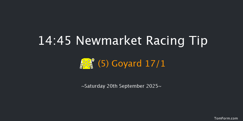 Newmarket 14-45 (Class 4) 6f Sat 23rd Aug 2025