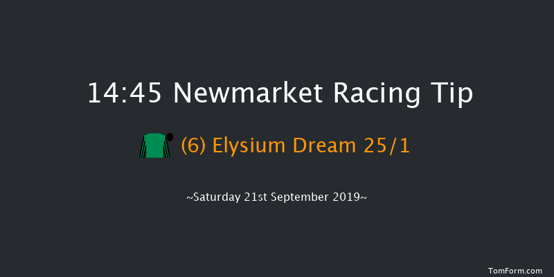 Newmarket 14:45 Handicap (Class 4) 7f Sat 24th Aug 2019