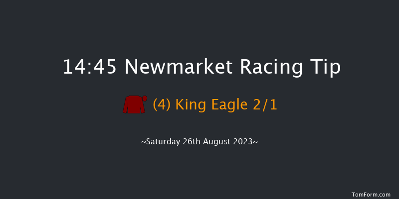Newmarket 14:45 Handicap (Class 3) 14f Fri 25th Aug 2023