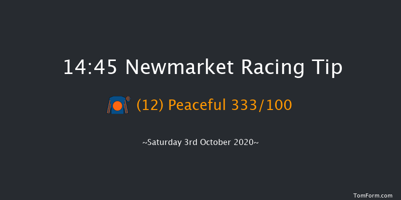 Kingdom Of Bahrain Sun Chariot Stakes (Fillies' And Mares' Group 1) Newmarket 14:45 Group 1 (Class 1) 8f Sat 26th Sep 2020