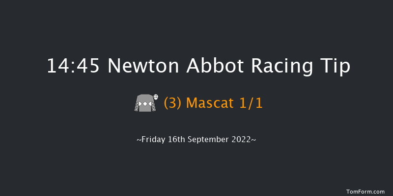 Newton Abbot 14:45 Maiden Chase (Class 3) 16f Mon 5th Sep 2022