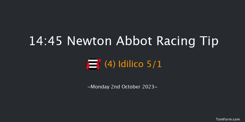 Newton Abbot 14:45 Handicap Hurdle (Class 5) 18f Fri 22nd Sep 2023