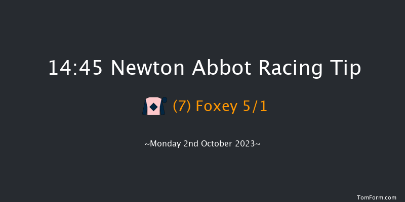 Newton Abbot 14:45 Handicap Hurdle (Class 5) 18f Fri 22nd Sep 2023