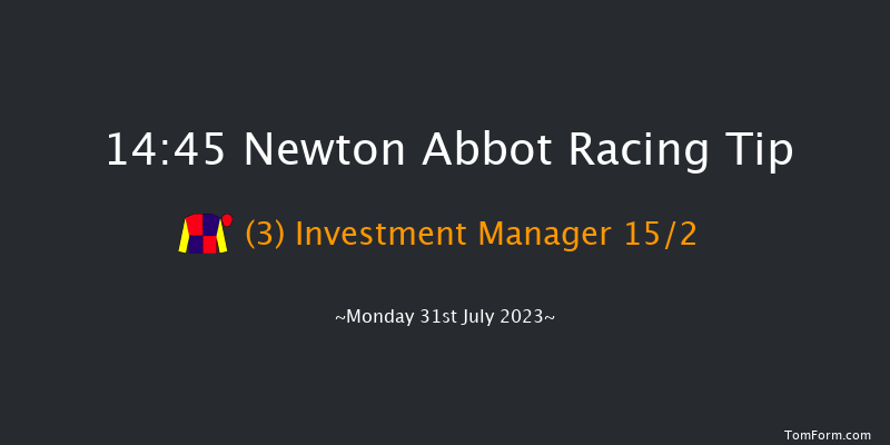 Newton Abbot 14:45 Handicap Chase (Class 4) 26f Sun 23rd Jul 2023