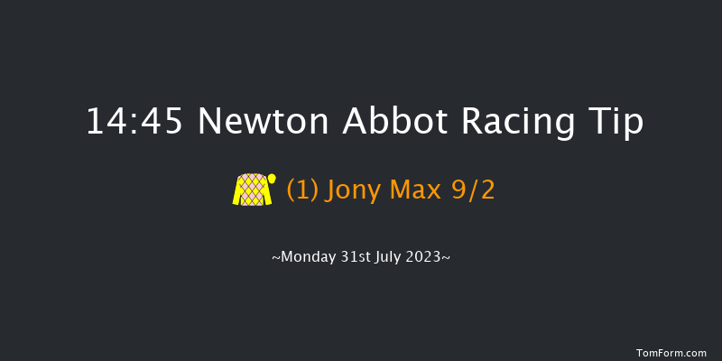 Newton Abbot 14:45 Handicap Chase (Class 4) 26f Sun 23rd Jul 2023