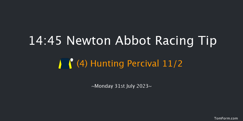 Newton Abbot 14:45 Handicap Chase (Class 4) 26f Sun 23rd Jul 2023