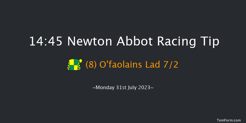 Newton Abbot 14:45 Handicap Chase (Class 4) 26f Sun 23rd Jul 2023