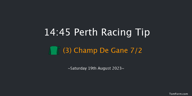 Perth 14:45 Handicap Chase (Class 3) 20f Wed 2nd Aug 2023