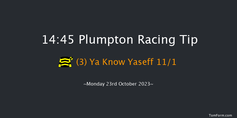 Plumpton 14:45 Handicap Chase (Class 5) 26f Sun 24th Sep 2023