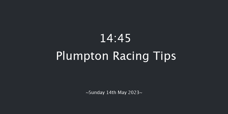 Plumpton 14:45 Handicap Chase (Class 4) 20f Sun 23rd Apr 2023