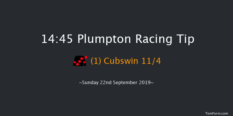 Plumpton 14:45 Handicap Hurdle (Class 3) 16f Thu 1st Jan 1970