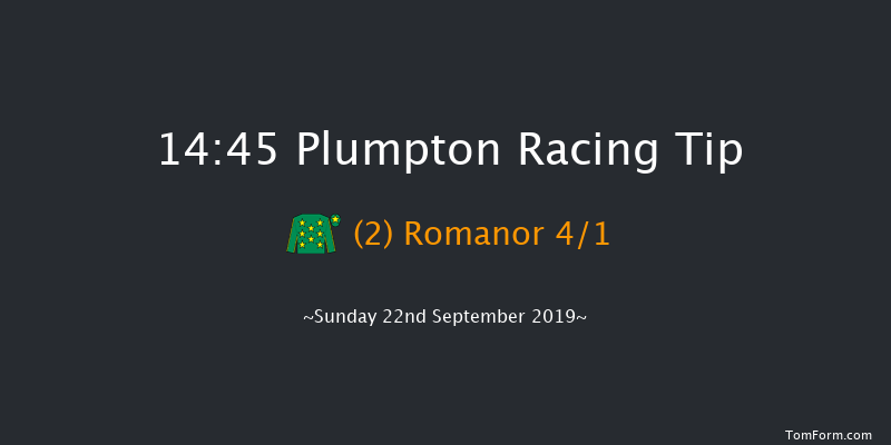 Plumpton 14:45 Handicap Hurdle (Class 3) 16f Thu 1st Jan 1970