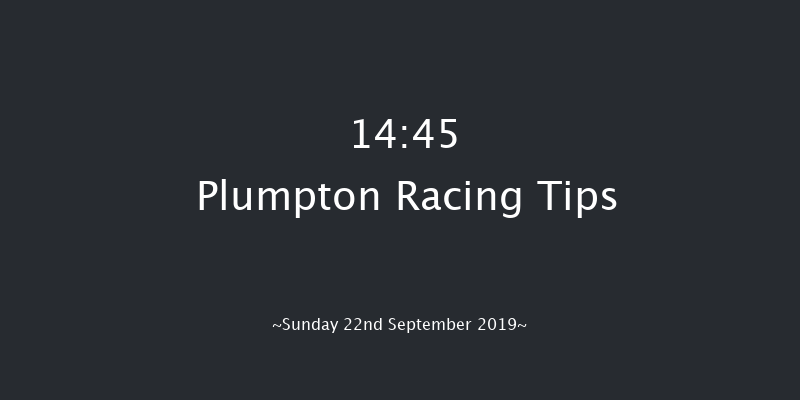 Plumpton 14:45 Handicap Hurdle (Class 3) 16f Thu 1st Jan 1970