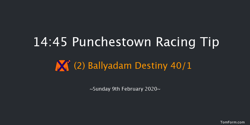Leinster Leader Maiden Hurdle Punchestown 14:45 Maiden Hurdle 20f Wed 15th Jan 2020