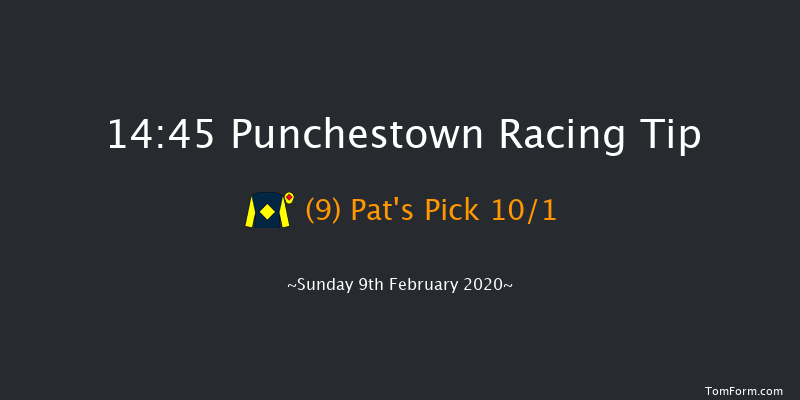 Leinster Leader Maiden Hurdle Punchestown 14:45 Maiden Hurdle 20f Wed 15th Jan 2020