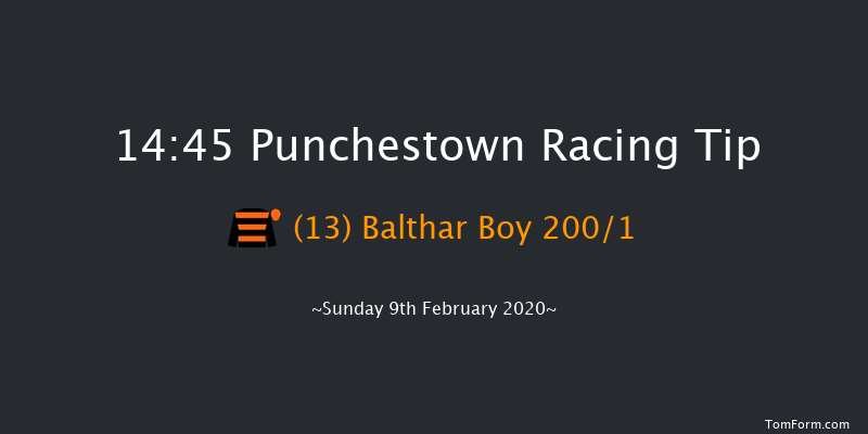Leinster Leader Maiden Hurdle Punchestown 14:45 Maiden Hurdle 20f Wed 15th Jan 2020