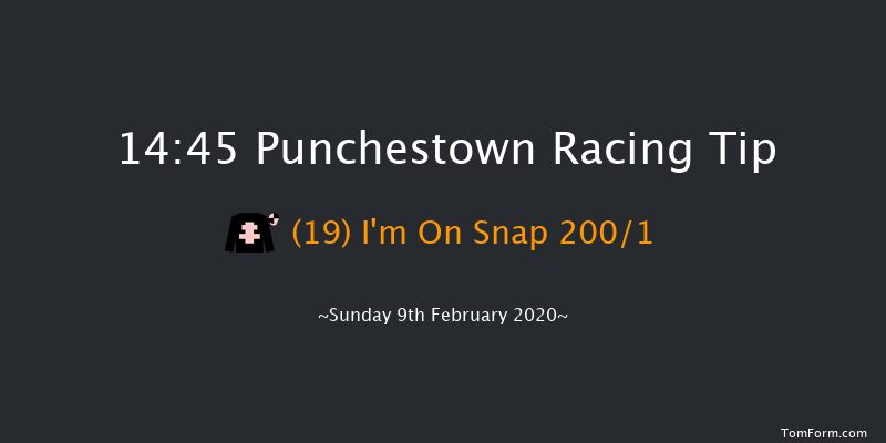Leinster Leader Maiden Hurdle Punchestown 14:45 Maiden Hurdle 20f Wed 15th Jan 2020