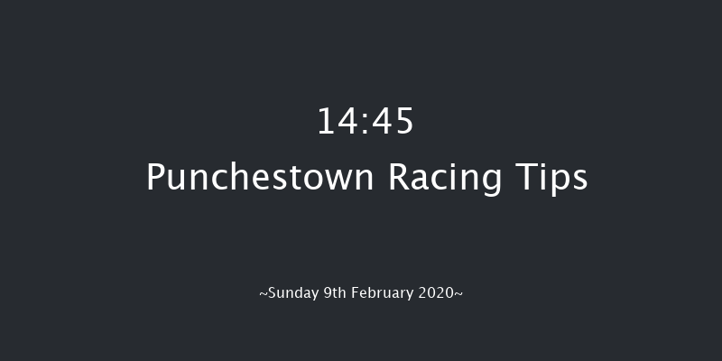 Leinster Leader Maiden Hurdle Punchestown 14:45 Maiden Hurdle 20f Wed 15th Jan 2020