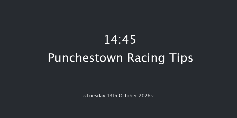 Punchestown 14-45 23f Tue 15th Sep 2026