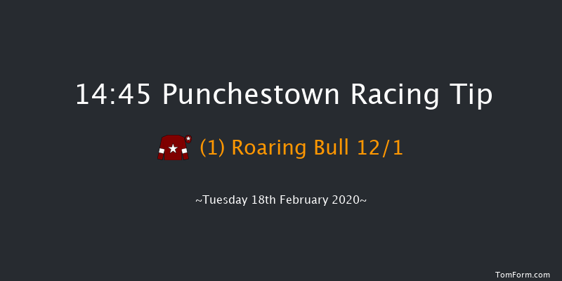 Boylesports Grand National Trial Handicap Chase (Grade B) Punchestown 14:45 Handicap Chase 28f Wed 15th Jan 2020