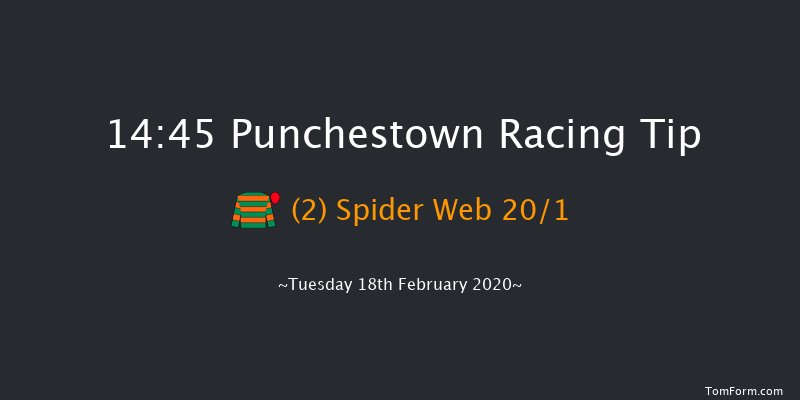 Boylesports Grand National Trial Handicap Chase (Grade B) Punchestown 14:45 Handicap Chase 28f Wed 15th Jan 2020