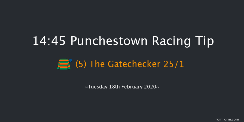 Boylesports Grand National Trial Handicap Chase (Grade B) Punchestown 14:45 Handicap Chase 28f Wed 15th Jan 2020