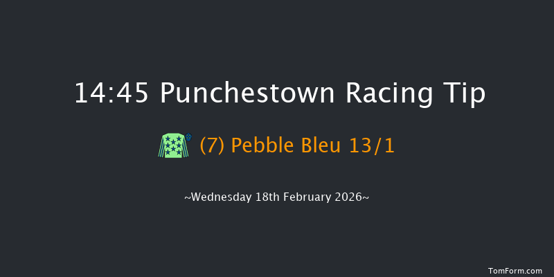 Punchestown 14-45 (Class 1) 20f Sun 15th Feb 2026