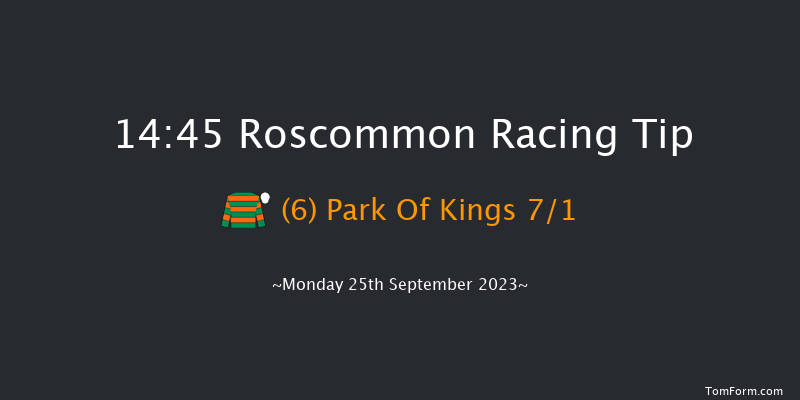 Roscommon 14:45 Handicap Hurdle 16f Mon 4th Sep 2023