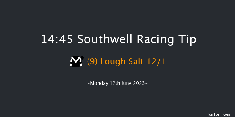 Southwell 14:45 Handicap Chase (Class 5) 24f Tue 6th Jun 2023