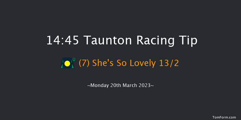Taunton 14:45 Handicap Hurdle (Class 5) 24f Mon 13th Mar 2023