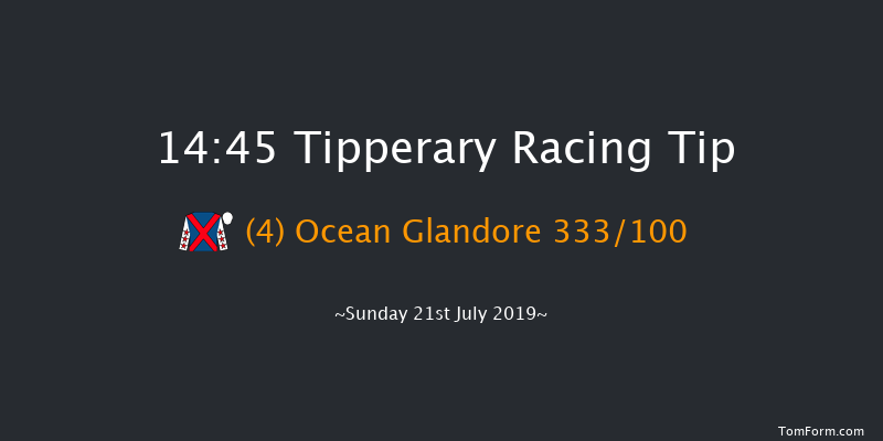 Tipperary 14:45 Handicap Chase 23f Thu 4th Jul 2019