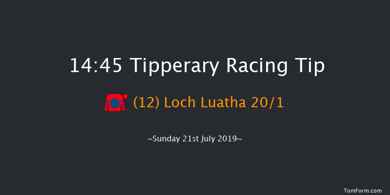 Tipperary 14:45 Handicap Chase 23f Thu 4th Jul 2019